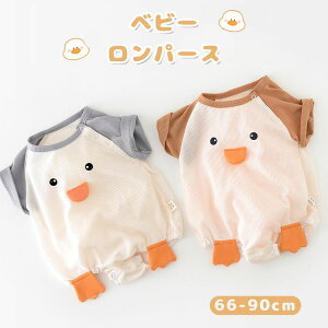 LbY ̎q  j̎q xr[ xr[ V q p[X LN^[ Jo[I[ _bN   xr[