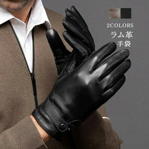  O[u v U[ X}z X}z Y Y r Ԃ Y U[O[u jp V[vXL