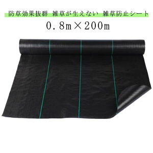 ϋv  sv   hV[g  GV[g Gh~ i V[ 悯 0.8m×200m V[g