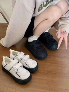  Xj[J[ n  I  }WbNe[v  V[Y RȂ y C fB[X L ₷ JWA g