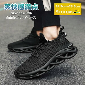 V[Y fB[X WMOV[Y g[jO Y hL ₷ 傫 ʋC JWA ʊw YXj[J[