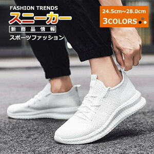 ʋ JWA fB[X L X|[cV[Y  WMOV[Y Y EH[LO V[Y [XAbvV[Y