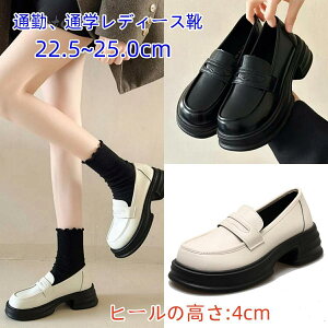 q IbNXtH[hV[Y pvX XbvI `L ₷ XNGAgD C w C vC fB[X l