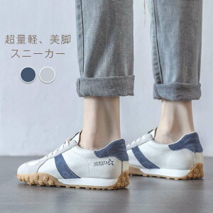 t Xj[J[ C fB[X V[Y H EH[LO WV[Y Vv ̈  lp C y ^C  