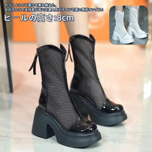 V[gu[c C bV GWjA E Ȃ T}[u[c ʋC V[Y 8cm  fB[X u[cT_