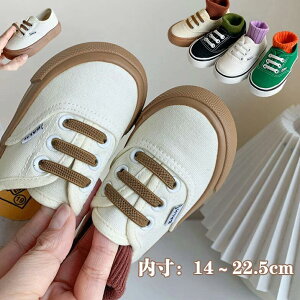 LoXV[ 㗚X|[cC j̎qxr[ ̎q V[Y V[Y oGV[Y C LbY 킢 YbN