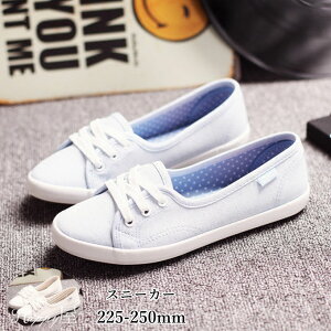 [XAbv JWA ʋ YbN ʊw ʋC ؂ X|[c ₷ t@bV V[Y fB[X n t