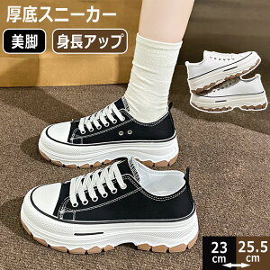  gAbv fB[XV[Y y  ~ ϋv  Xj[J[ 4cm ʋC Sn Ȃ Xj[J[