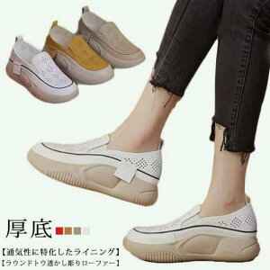 ₷   Xj[  lԍHw Xb| fB[X EhgD ʋC [t@[ V[Y q[5cm