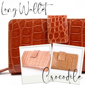 Eht@Xi[ e NR_C ꂢ  傫 VCjOH 蒠 z  {v jv fB[X