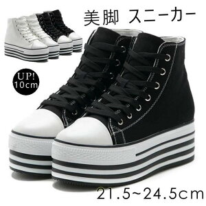 Xj[J[ [XA tbgXj[J[ Cq[   q[10cm Xj[J[ nCJbgXj[J[ fB[X