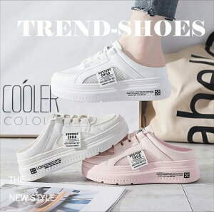 RȂ  ₷ ʋ }WbNe[v O n  WILLS bV ʊwC ʋC THOM  IV AEghA