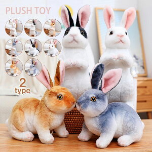  NX}X ETM VNj CeA ҂҂ 킢 aMtg A