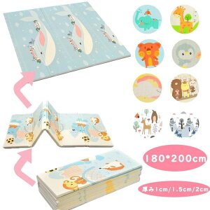  ܂肽 2cm RpNg NbV LbY ^ tA[}b 唻 q 1cm k h xr[ Ԃ