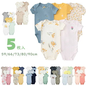 V[gI[ Jo[I[ xr[   ėpxr[{fBX[c xr[ p[X {fBI[ VMtgZbg