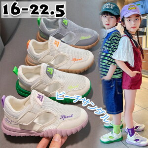 水陸両用 ウォーターシューズ 岩場 女の子 アウトドア 海 キッズ 送料無料 川 靴 男の子 ビーチシューズ アクアシューズ