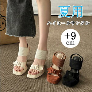 fB[X T_ T_  JWA  nCq[  ₷ T_ ANXgbv fB[X