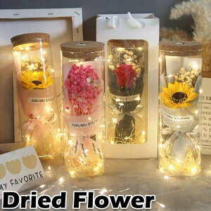 {g CeA LEDCgt t[ j  KXr o[Xf[   k  a w hC ԑ