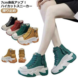   V[Y Xj[J[ ϖ fB[XC  nCJbg Xj[J[ ~ 7cmq[ C JWA