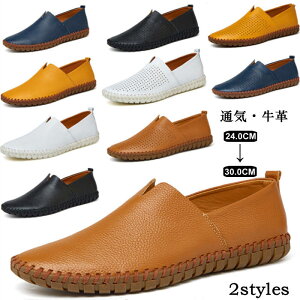 RtH[gV[ YC hCrOV[Y [Jbg AEghAJWAV[Y U[V[Y v [t@[