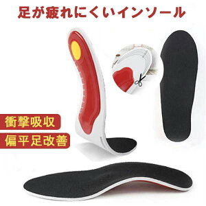 Xj[J[  A[`T|[g X|[c ̔ C\[ r̒ɂ pbh ~ Ռz f  EVA 3D u[c