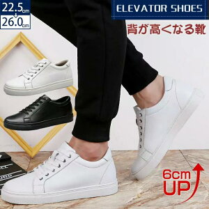 C gAbv fB[X ʋ ʊw  wȂ WMO tďH g[jO V[NbgV[Y Xj[J[ {v