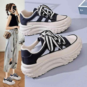 n fB[X JWA   oCJ[ V[Y ʋC bV JbgIt Xj[J[   ؍ 킢 sN