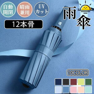 J 12{ y P JP JP UVJbg Jp Y fB[X RpNg ^b` 傫 ܂肽 P