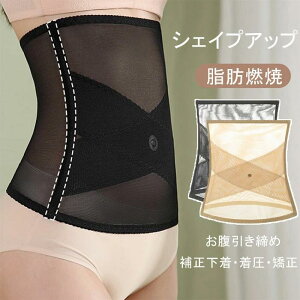 ␳ VFCvAbv  xg bV bR ₹ R Ci[ EGXgVFCp[ fB[X  