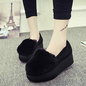 V[Y t@[t pvX ؂  O[ Xb| 킢 n N  fB[X  JV 