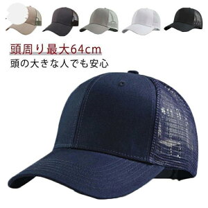  Β BIG t 傫TCY [ Lbv 傫T O SIZE bVLbv rbOTCY 傫 傫 t ̓