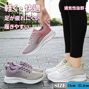  X|[cV[Y  [Jbg  EH[L IV ₷ fB[X jOV[Y ꂢ 40  C