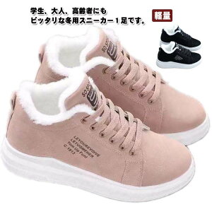 Xj[J[ hC h EB^[u[c N  nCJbg tFCNt@ Xm[u[c {A  fB[X ۉ