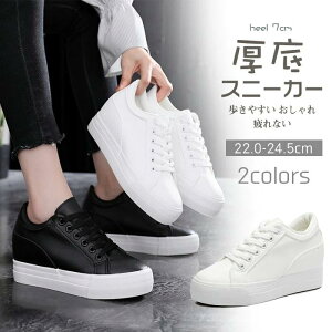 fB[X Xj[J[  up ₷ Cq[Xj[J[ Vv r  [XAbv Ȃ 7cm ׌