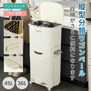 ݂΂ 45L X LX^[t S~ @\ t^t Lb`䏊 _Xg{bNX y[ c^  36L 