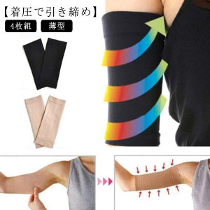 VFCp[  ̘rT|[^[ VFCvAbv  4g ubN F p  _CGbg yz VFCv