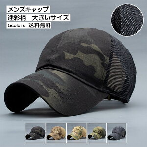 ėp bV St Xq X|[c 傫TCY Jt nbg  Β ʕ    ꂢ AEghA