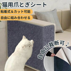  Lp܂Ƃ S Rْf ܂Ƃ}bg L ܂Ƃh~V[g