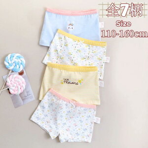 A  Rbg ̎q {NT[V[c Ci[  LbY V[c   4g ̎q pc u[t 95%