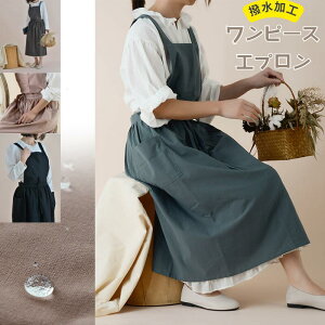 yAbN 100% Gv eqyA k Gv }`J[ i` mg[ 킢 l s[X 