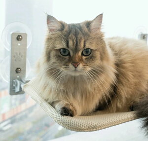 ܂ݎ R[hXL L L 52*30cm ~܂ ω ͋z4 xbh nbN ܂肽ݎ LnbN  