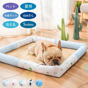 ҏ  ʋC a IV  ybgxbh  zc    ybgxbh }bg ⊴ Ђ }bg