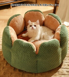 T{e Ԍ^ ی^ ybgnEX Lpxbh ~ ybgxbh