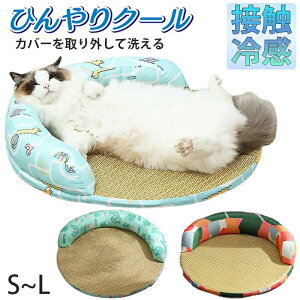  ėp \t@ }bg xbh ybg L  ڐG⊴ Ђ