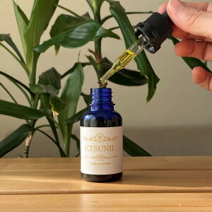 Gcj[JOG@zzoICS[fbVR100 Y { ێIC q  SgPA