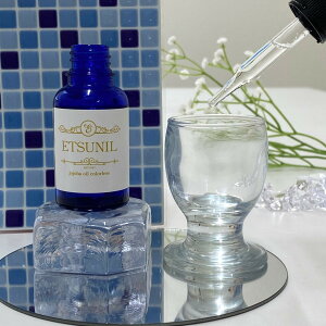 Gcj[JOC@zzoICJ[XbVR100 Y { ێIC q  SgPA