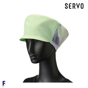 Hip/Hp SZ5001-G LXPbg CgO[ F SERVOT[H FF25