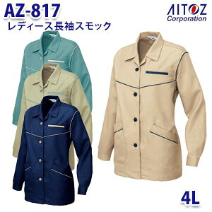 AZ-817 4L XbN fB[X AITOZACgX AO11