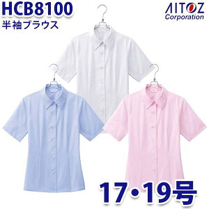 HCB8100 17E19 uEX fB[X AITOZACgX AO10