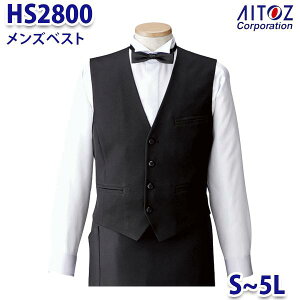 HS2800 S~5L xXg Y AITOZACgX AO10